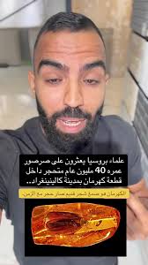 صرصور متحجر عمره 40 مليون عام في كهرمان