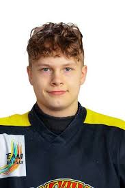 Pirkkalan Pingviinit ry