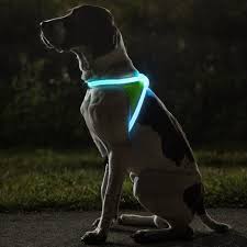 Noxgear Lighthound Illuminated Dog Vest Viral Gadgets Dog Harness Dog Vest Reflective Dog Harness