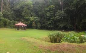 Bukit gombak sport centre is strategically located beside the bukit gombak mrt, and next to the scenic little guilin park. Bukit Batok Nature Park Parks Nature Reserves Gardens Parks Nature National Parks Board Nparks
