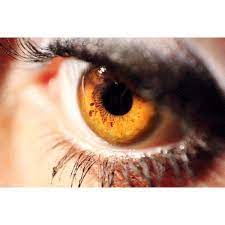 Change Your Eye Color Eye Color Changing Drops Change My Eye Change My Eyes Amber Eyes Change Your Eye Color Eye Color Change