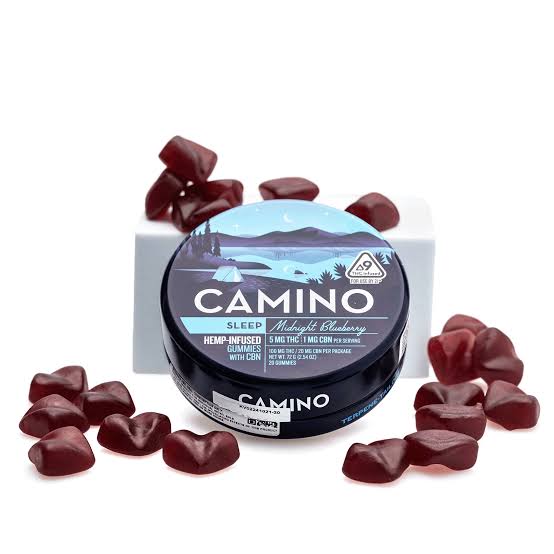 Buy Camino Midnight Blueberry Online |  