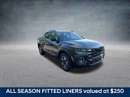 Image result for Rockwood Green 2025 Santa Cruz