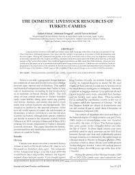 Camels still haul loads in parts of western india. Pdf The Domestic Livestock Resources Of Turkey Camels
