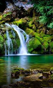 We did not find results for: Nature Beautiful Wallpapers Hd Wallpaper Backgrounds Of Your Choice Desktop Background