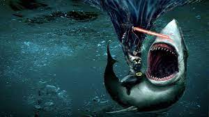 We did not find results for: Funny Shark Wallpapers Top Free Funny Shark Backgrounds Wallpaperaccess