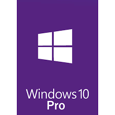 I start windows 10 pro installation. Windows 10 Professional Softwarekeys