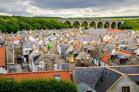 Image result for Cullen