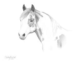 Paint Horse Pencil Drawing | Horse Pencil Drawing, Horse Painting, Horses