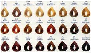 Loreal Excellence Creme Color Chart Loreal Hair Color Hair Color Chart Professional Hair Color