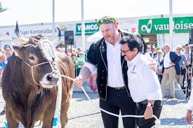Christian stucki schwingerkönig / eidgenossisches schwingfest basler henryc thoenen unterliegt im 4 gang christian stucki barfi ch author agustus 08, 2021. Esaf Siegerstier Kolin Darf Wieder Heim Nach Unterageri