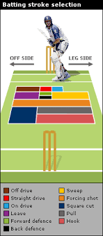 Cricket Batting Stroke Selection Cricket Coaching Cricket Equipment Cricket
