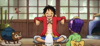 Inu Inu no Mi, Model: Tanuki in One Piece