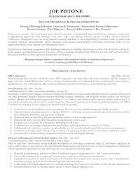 The key to showing success of marketing efforts is data. Senior Executive Cv Template Templates At Allbusinesstemplates Com