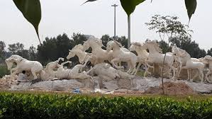 Menghina dengan sebutan binatang kepada sesama muslim, selain itu termasuk dosa besar, perbuatan itu juga tentu. Pin By Feriky Efiant On Kuda Kuda Horse Art Horse Sculpture Animal Sculptures