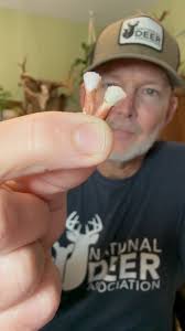 Jared Bass took this awesome buck while hunting in Virginia! He sent us the  incisors for cementum annuli aging and we determined him to be 5.5 years  old! Congratulations Jared and thank