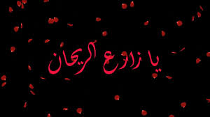 لا تزرع الريحان لست تقيم. ÙØ§ Ø²Ø§Ø±Ø¹ Ø§ÙØ±ÙØ­Ø§Ù Ø¨Ø§ÙÙÙÙØ§Øª Youtube