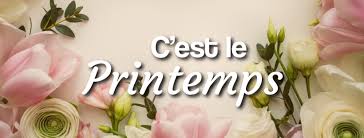 Les fleurs stars du Printemps - Plus de Fleurs