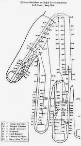 disease to ease byol meridian left hand yang side