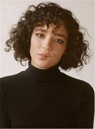 Curly Hair Shaggy Messy Fluffy Bob Hairstyle Summer Style Human Lace Front African American Wigs 10 Inches Haircuts For Curly Hair Hair Styles Short Hair Styles