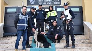 Sokak Kopegi Max Polislerin Mesai Arkadasi Oldu