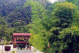 Contact dzh health resort club on messenger. Dzh Health Resort Club 3 Genting Highlands Selangor Malaysia 38 Guest Reviews Book Hotel Dzh Health Resort Club 3