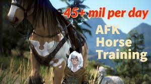 Bdo Afk Horse Training 45m Night Youtube