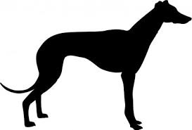 Black And White Greyhound Dog Greyhound Silhouette Whippet Galgo 3 Cao Desenho Caes Galgo