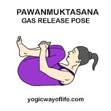 Pin On Yoga
