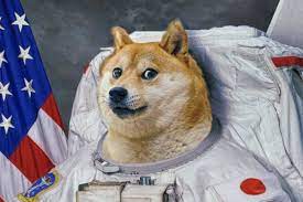 Where he was signing a slew of autographs and posing for pics. Elon Musk Tweets In Support Of Dogecoin After Price Grows 420 In A Day