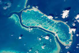 Check spelling or type a new query. Great Barrier Reef Near Whitsunday Islands