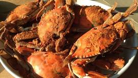 Irvington Crab Festival
