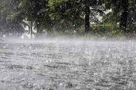 Heavy rains, floods expected in coastal states. Herald Rains Cross 100 Inch Mark