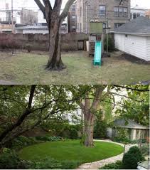 Want to give your garden a simple and easy makeover? Garden Makeover Transform Your Outdoor Space