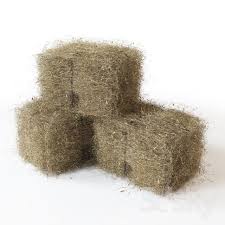 Bales Of Hay Hay Bales 3d Model Model