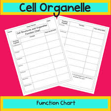 Maybe you would like to learn more about one of these? Cell Organelles Chart Worksheets Teaching Resources Tpt