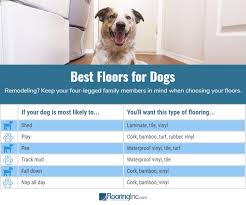 What S The Best Flooring For Dogs Best Flooring Dog Flooring Pet Friendly Flooring