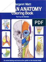 14 day loan required to access epub and pdf files. Human Anatomy Coloring Book Pdf