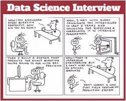 Cartoon Data Science Interview Data Scientist Data Science This Or That Questions