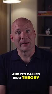 The "Bird Theory" Test: If They Fail, It's Decaying 🐦 #psychology  #datingadvice