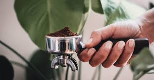 Massaging the grounds into your scalp will remove dead skin cells and buildup, which stimulates hair follicles. The Many Uses For Coffee Grounds