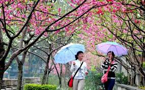 Image result for beautiful scene in china