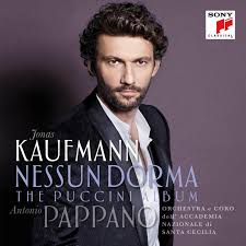Click to see the original lyrics. Nessun Dorma The Puccini Album Positive Feedback