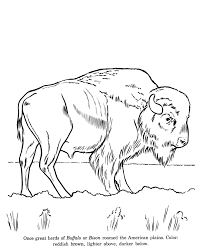 Animal Drawings Coloring Pages Wild Bison Animal Identification Drawing And Coloring Pages Zoo Animal Coloring Pages Animal Coloring Pages Zoo Coloring Pages