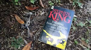 Ja, ich fand die geschichte auch sehr gut. Stephen King Fruhling Sommer Herbst Und Tod Kaliber 17
