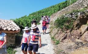 Just take time to walk up to its summit where the hermitage chapel will offer you a. Balade A Pied En Hermitage Avec Terres De Syrah By Cave De Tain La Drome Tourisme