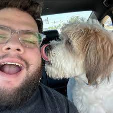 Looking for a good affordable dog trainer in the area or some what close!