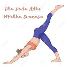 Women Silhouette One Legged Downward Facing Dog Yoga Pose Eka Royalty Free Cliparts Vectors And Stock Illustration Image 75867940