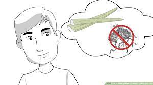 Although aloes and cacti are different kinds of succulents (just like cats and secondly, aloe vera leaves have spikes on them, which look a lot like cactus spines, although they're not actually cacti. 3 Ways To Grow An Aloe Plant With Just An Aloe Leaf Wikihow