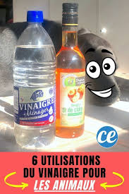 Vous Avez Un Animal 6 Utilisations Du Vinaigre Qui Vont Simplifier La Vie En 2020 Taches De Pipi Nettoyer Les Oreilles Odeur De Pipi